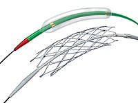 Zwei Komponenten des Wingspan Stent-Systems