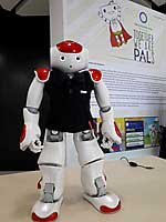 PAL verwendet NAO-Roboter als Plattform PAL verwendet NAO-Roboter als Plattform