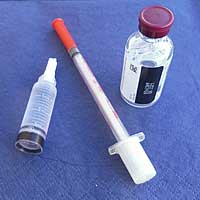 Wirkung des Hormons Insulin im Gehirn. Wirkung des Hormons Insulin im Gehirn.
