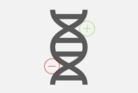 Kleine Veränderungen an der Erbsubstanz (epigenetische Marker) zeigen, wie gut das Gehirn auf Insulin anspricht – ein möglicher Schlüssel zur Prävention von Typ-2-Diabetes und Adipositas. Kleine Veränderungen an der Erbsubstanz (epigenetische Marker) zeigen, wie gut das Gehirn auf Insulin anspricht – ein möglicher Schlüssel zur Prävention von Typ-2-Diabetes und Adipositas.